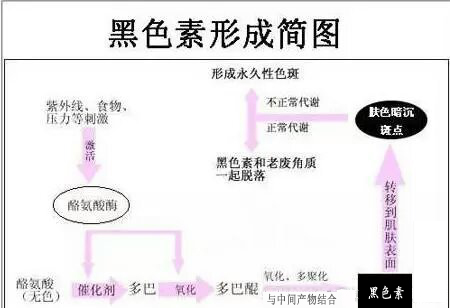 圖片2.jpg
