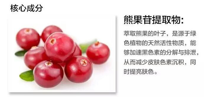 圖片3.jpg