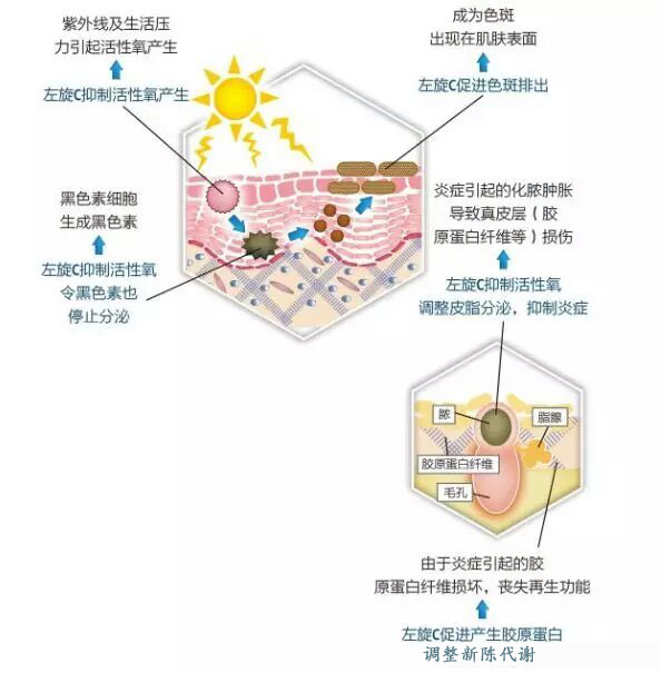 圖片4.jpg